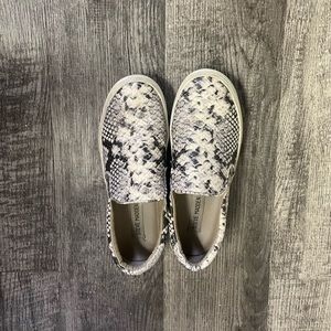 Steve Madden Gills snakeskin sneakers